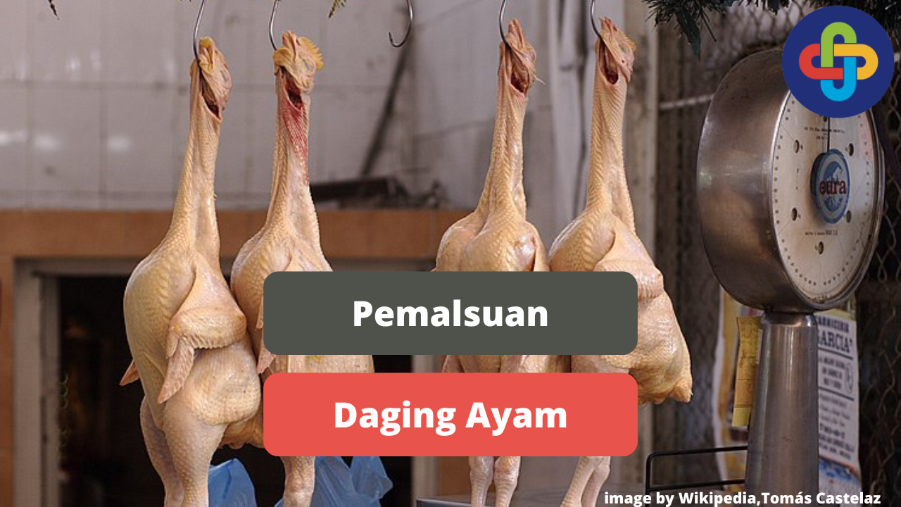 Beragam Pemalsuan Daging Ayam di Pasaran